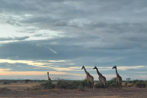 3-day Amboseli & SaltLick Safar: Kilimanjaro View & Treetop