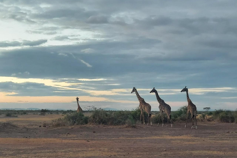 3-day Amboseli & SaltLick Safar: Kilimanjaro View & Treetop