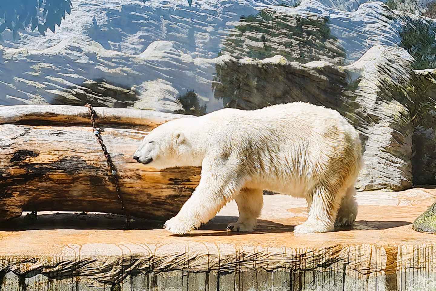 프라하 동물원 오디오 가이드 전용 교통 서비스 - 입장권 미포함