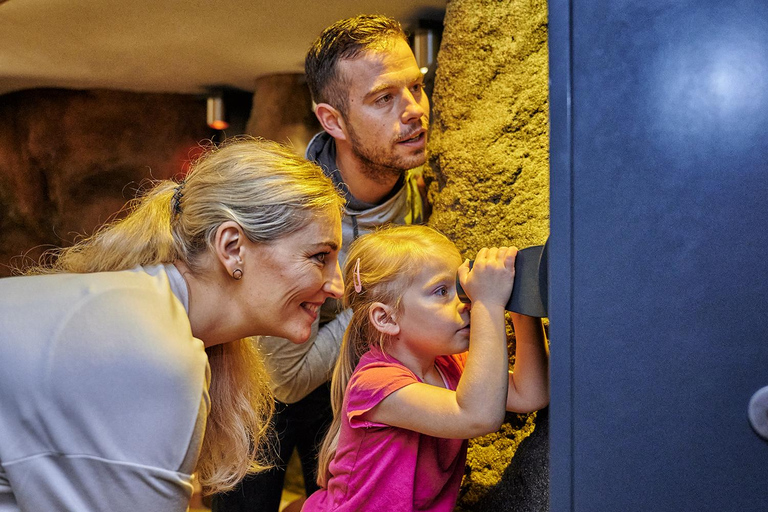 Saalfeld Fairy Grottoes: Family tour for kids & parents Saalfeld Fairy Grottoes: Family Tour for Kids & Parents