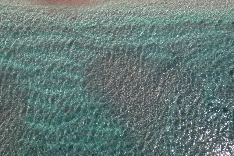 Komodo Island: Cruise Ship Tender to Pink Beach Snorkeling