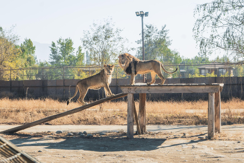 From Santiago: Rancagua Safari Park Zoo