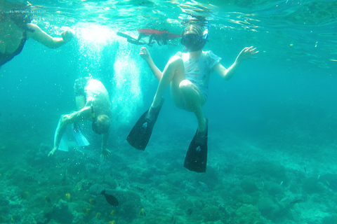 BFT Nusa Penida: Snorkeling to Manta Point &amp; Manta BayShare snorkeling group up 100 Pax