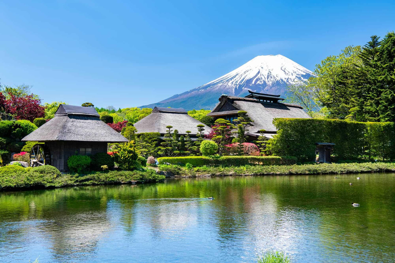 One-day private tour to Mt. Fuji (English speaking driver)