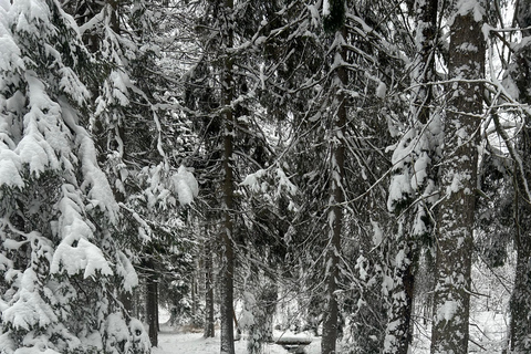 Estocolmo: Sauna tradicional guiadaEstocolmo: Sauna tradicional com guia