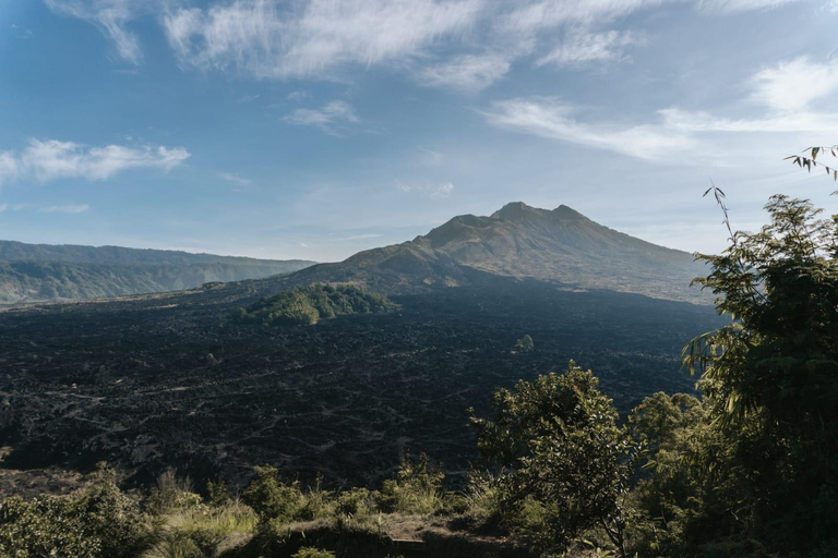 Ubud: downhill fietsen met vulkaan, rijstterrassen en maaltijd