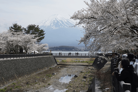 Mount Fuji Full-Day Private Tour from Tokyo (Customizable) Luxury Toyota Crown or SAI