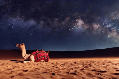 Tour di condivisione del safari nel deserto di Doha dal porto di crociera