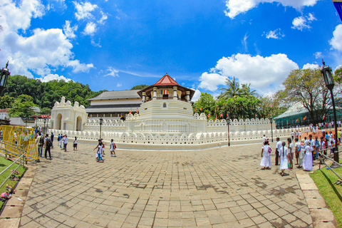 Excursão de um dia de Colombo a Kandy, Pinnawela e Fábrica de Chá