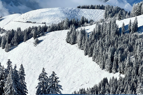 Bern: Gruyere Region Tour with Fondue, Chocolate & Spa