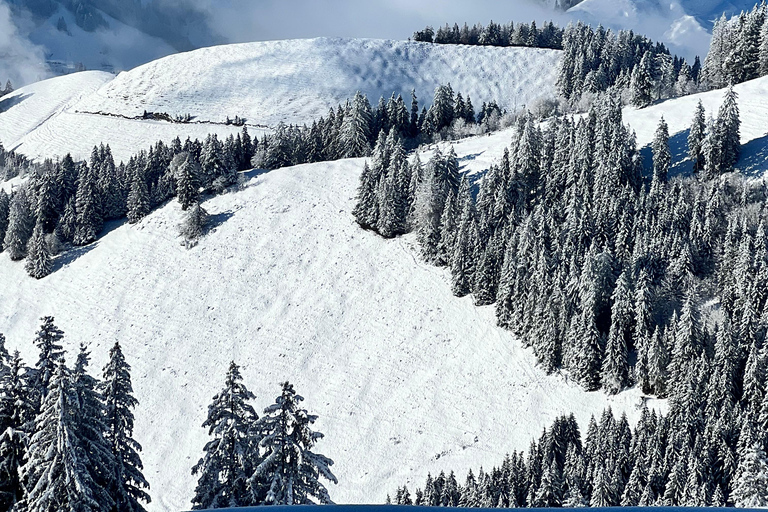 Bern: Gruyere Region Tour with Fondue, Chocolate & Spa