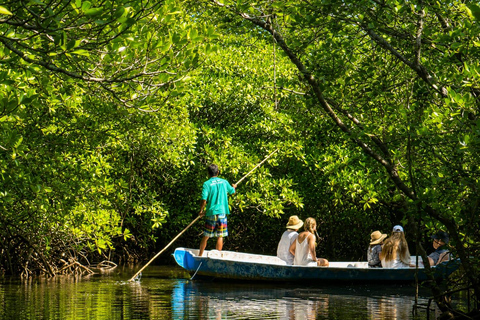 Nusa Lembongan Manta Snorkeling Trip, Mangrove & Island Tour Sharing 3 Spots Snorkeling & Mangrove Advanture
