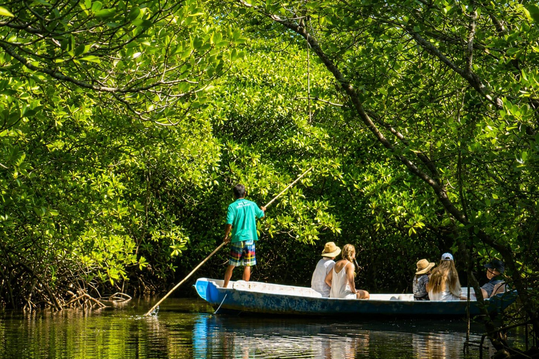 Nusa Lembongan Manta Snorkeling Trip, Mangrove & Island Tour Sharing 3 Spots Snorkeling & Mangrove Advanture
