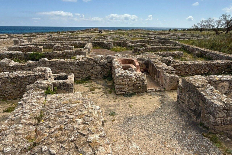 One day trip to Cape Bon (Hammamet, Kelibia & Kerkouane) One day trip to Cap Bon (Hammamet, Kelibia & Kerkouane)