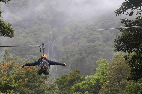 Da San Jose: Tour privato di un giorno nella foresta pluviale di Monteverde