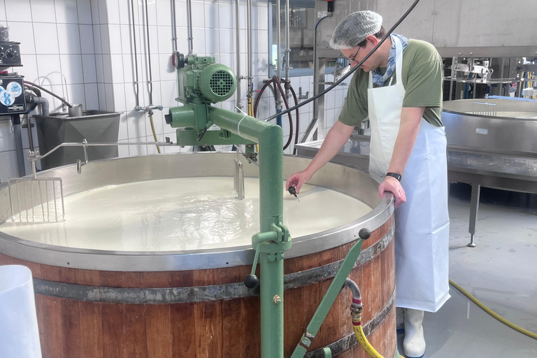 Rotterdam : Kinderdijk, site classé au patrimoine mondial de l&#039;UNESCO, expérience à la ferme fromagère