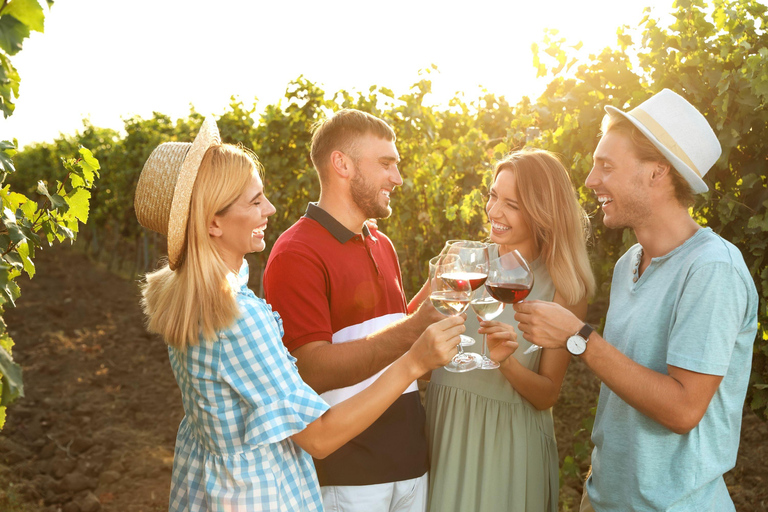 Private Experience | Zakynthos Winetasting Tour | 2 hours