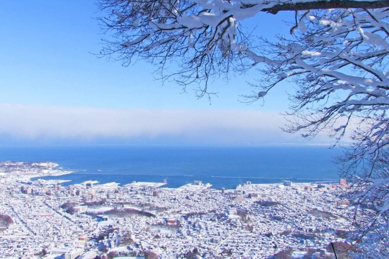 From Sapporo:Otaru Canal&Coastal Charm Private Customiz Tour MAX 9PAX