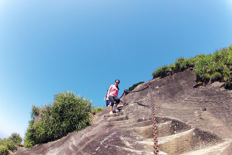 Rio de Janeiro: Pico da Tijuca Hiking Tour