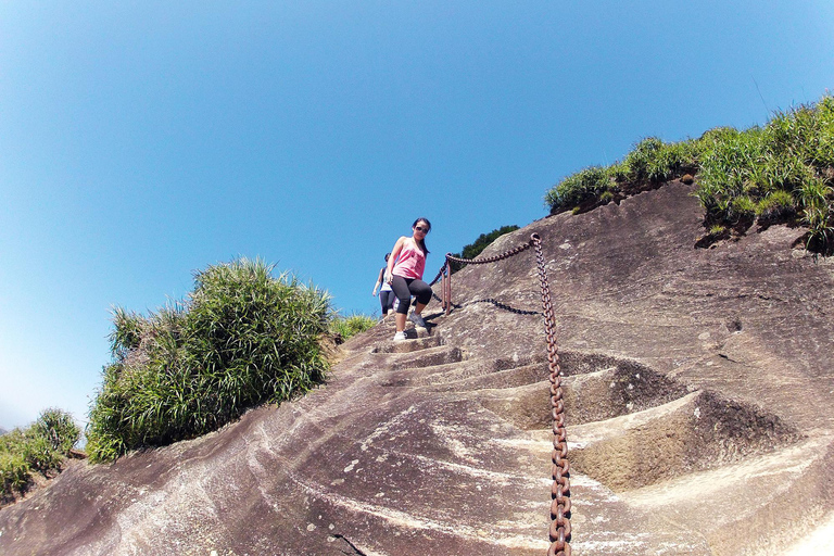 Rio de Janeiro: Pico da Tijuca Hiking Tour