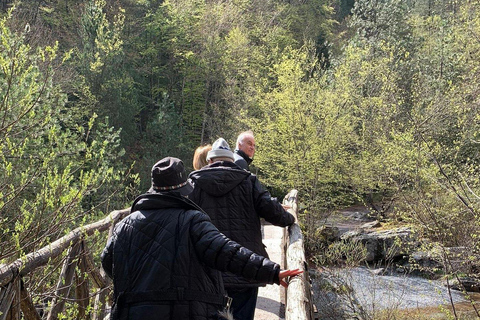 From Thessaloniki: Mount Olympus Private Hike