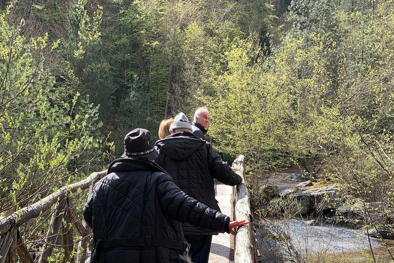 From Thessaloniki: Mount Olympus Private Hike