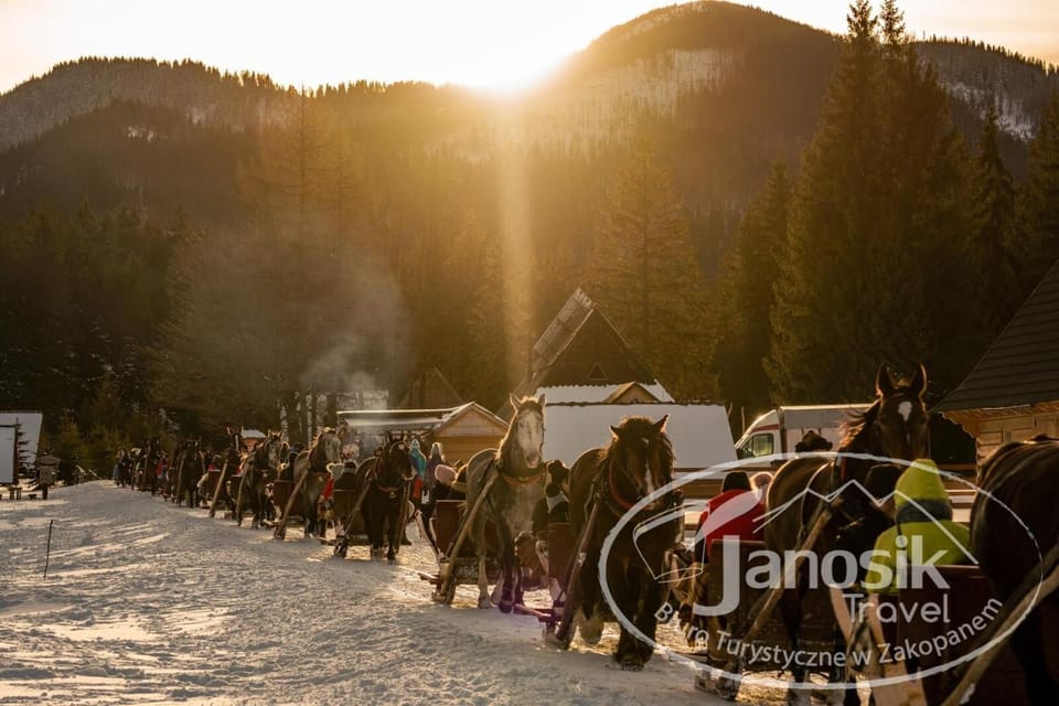Horse-drawn sleigh crossing a snowy valley beside dark spruce forest at dusk