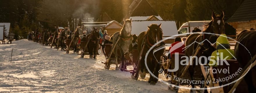 Zakopane : promenade en traîneau dans la vallée de Chochołowska avec feu de camp