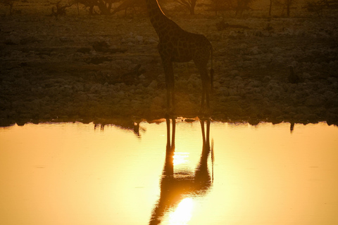 Arusha: 3-Day Tanzania Budget-Friendly Camping Safari