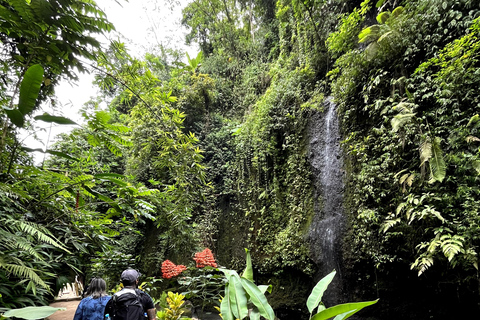 Bali Bathing Holy Spring Water or Purification