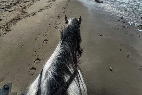 地拉那/都拉斯：弗拉凯海滩逃离与可选骑马体验地拉那/都拉斯：弗拉凯海滩度假与可选骑马活动