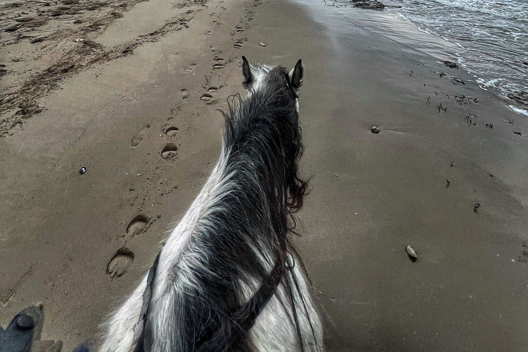 地拉那/都拉斯：弗拉凯海滩逃离与可选骑马体验地拉那/都拉斯：弗拉凯海滩度假与可选骑马活动