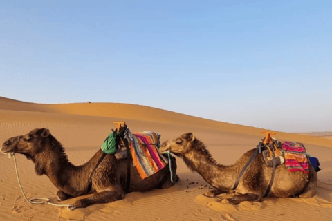 Zagora: escursione di 2 giorni nel deserto da MarrakechTour privato