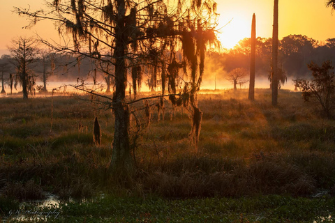 Orlando Sunset Kayak Tour with Guide