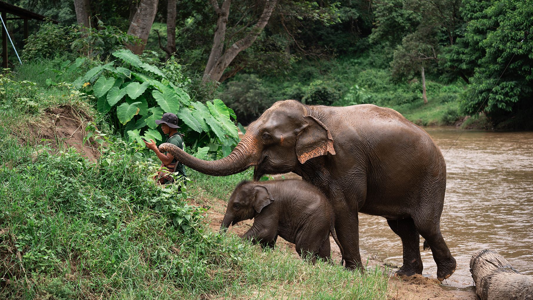 Chiang Mai: Elefanten-Schutzgebiet, Langer Hals und Klebriger Wasserfall