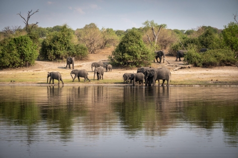 Chobe Tagesausflug in Botswana