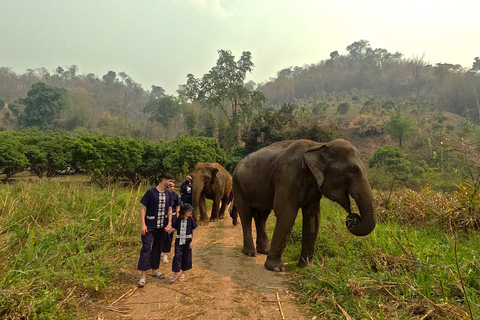 Elephant Care Program And Sticky Waterfall Highlights Full-day elephant care and sticky waterfall (Program B)