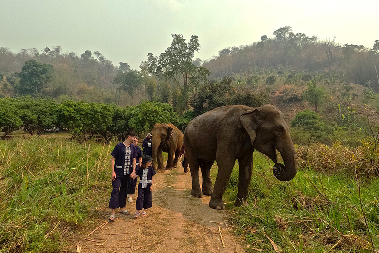 Programme de soins aux éléphants et chutes d&#039;eau collantes en vedetteJournée complète de soins aux éléphants et chute d&#039;eau collante (Programme B)