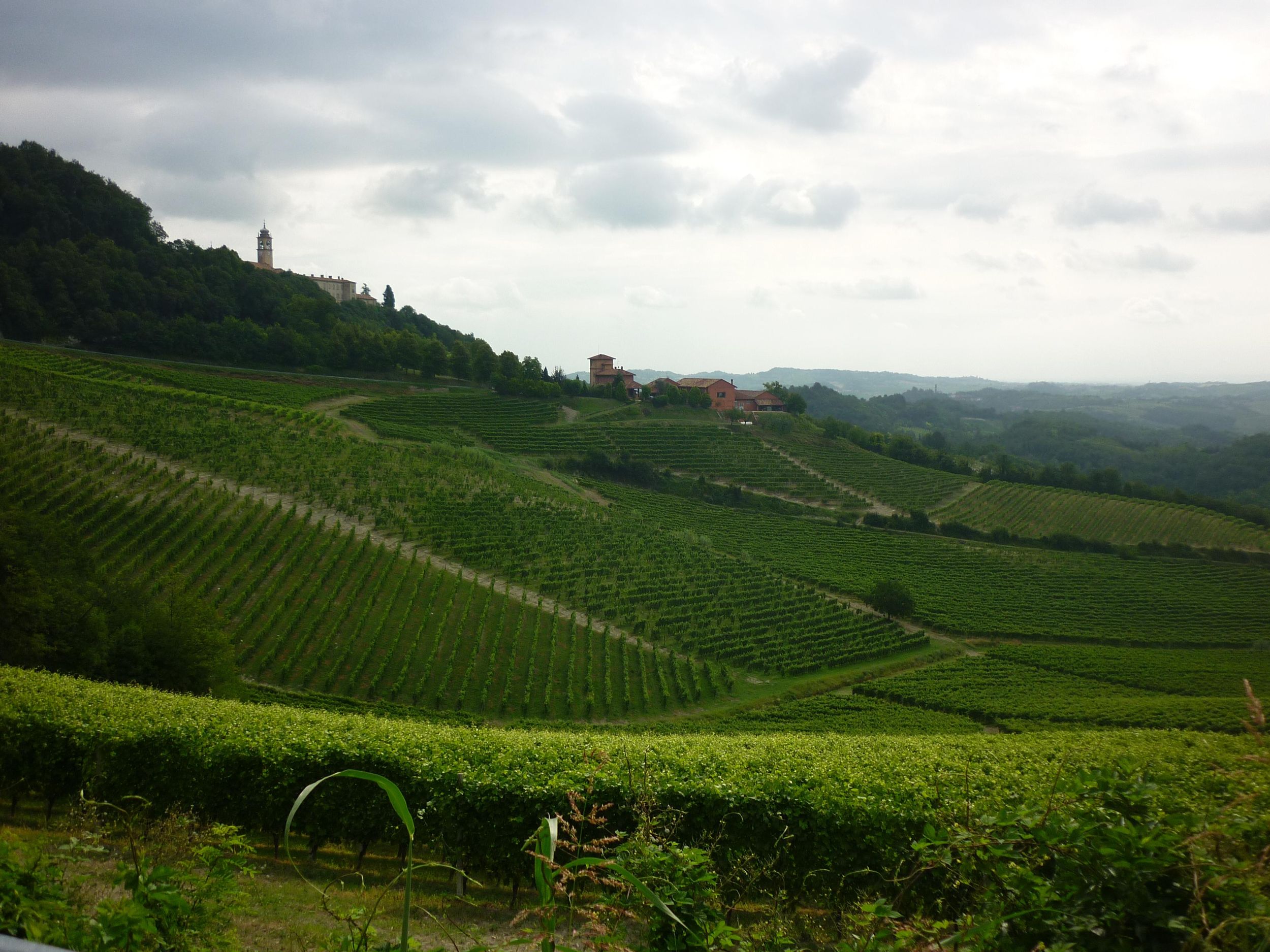 Von Turin nach Montferrat durch Weinberge und auf Pilgerwegen