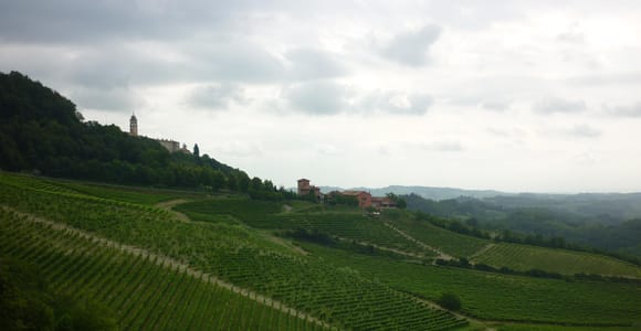 From Turin: Tour of Vineyards & Pilgrim Paths in Montferrat