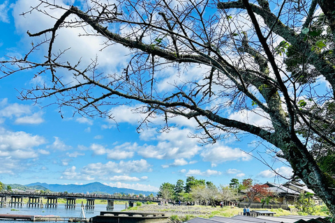 Kyoto, Nara e Osaka: Tour privato personalizzabile