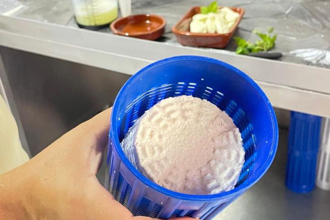 Paphos: Wine and Halloumi Tasting Tour with Pickup