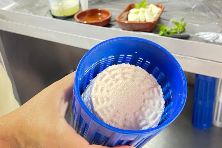 Paphos: Wine and Halloumi Tasting Tour with Pickup