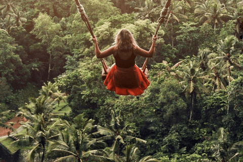 Ubud: Natura in primo piano, fauna selvatica, altalena e cascata