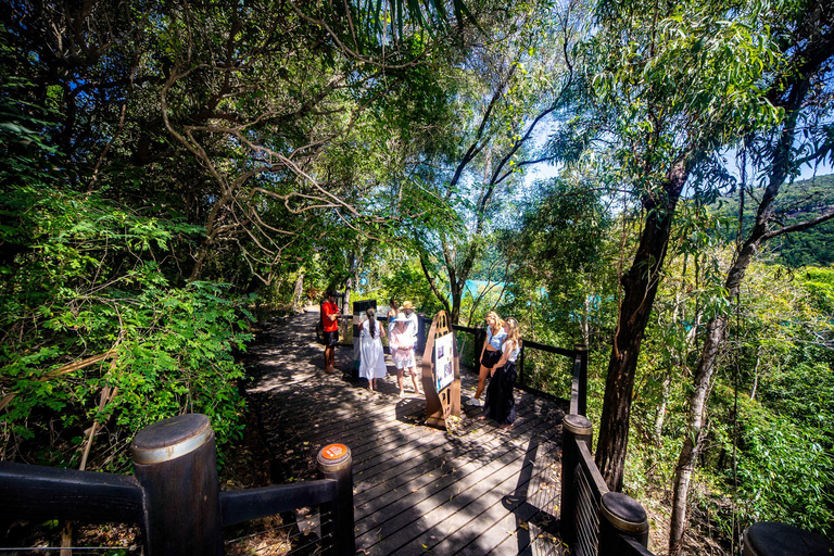 Från Airlie Beach: Kulturell rundtur på Hook Island, segling och snorkling