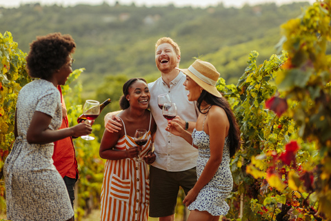 Descubrimiento del Vino del Valle del Swan: Excursión privada desde Perth