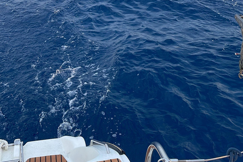 Rhodes : Croisière d&#039;une journée en catamaran avec repas et boissons