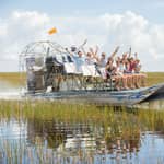 Miami: tour in airboat delle Everglades, mostra sulla fauna selvatica e bus A/R