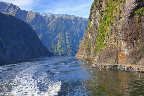 Milford, Mt Cook et Arthur's Pass : circuit de 3 jours au départ de ChristchurchSans billet d'entrée pour les activités