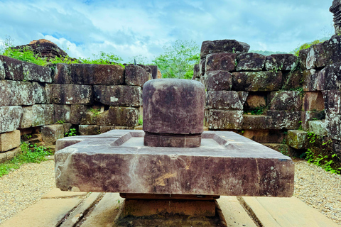 Da Da Nang/Hoi An: Tour privato di mezza giornata del santuario di My Son